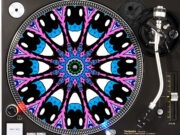 Eye Spy Insect - Turntable Slipmat