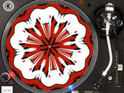 Hand Painted Horse - Turntable Slipmat