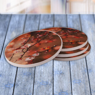 Japanese Cherry Blossom Tree Painting - Drink Coaster Gift Set